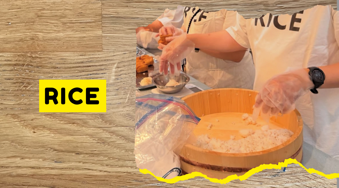 Rice