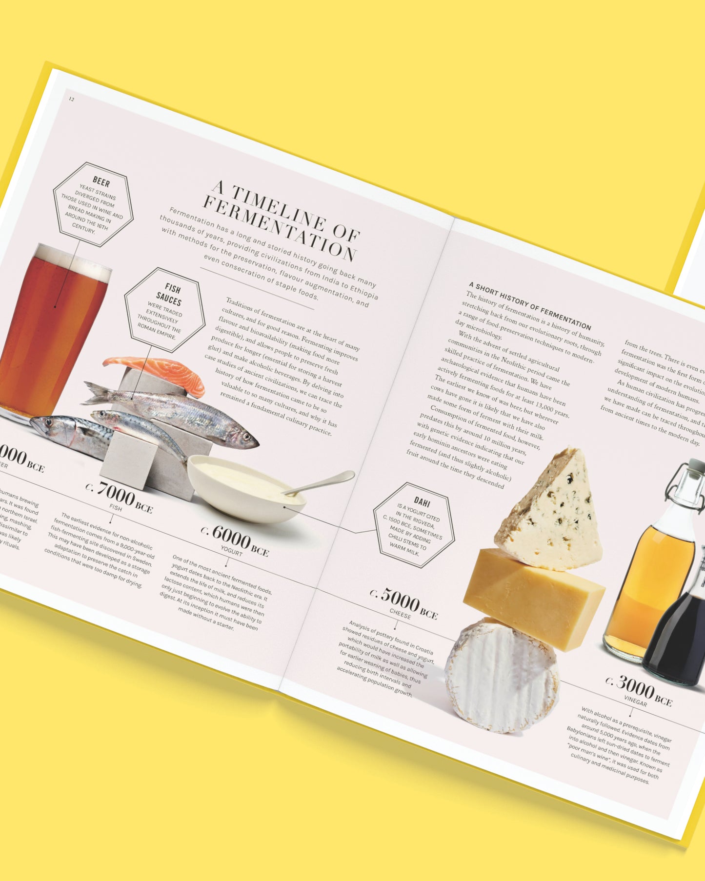 The Science of Fermentation