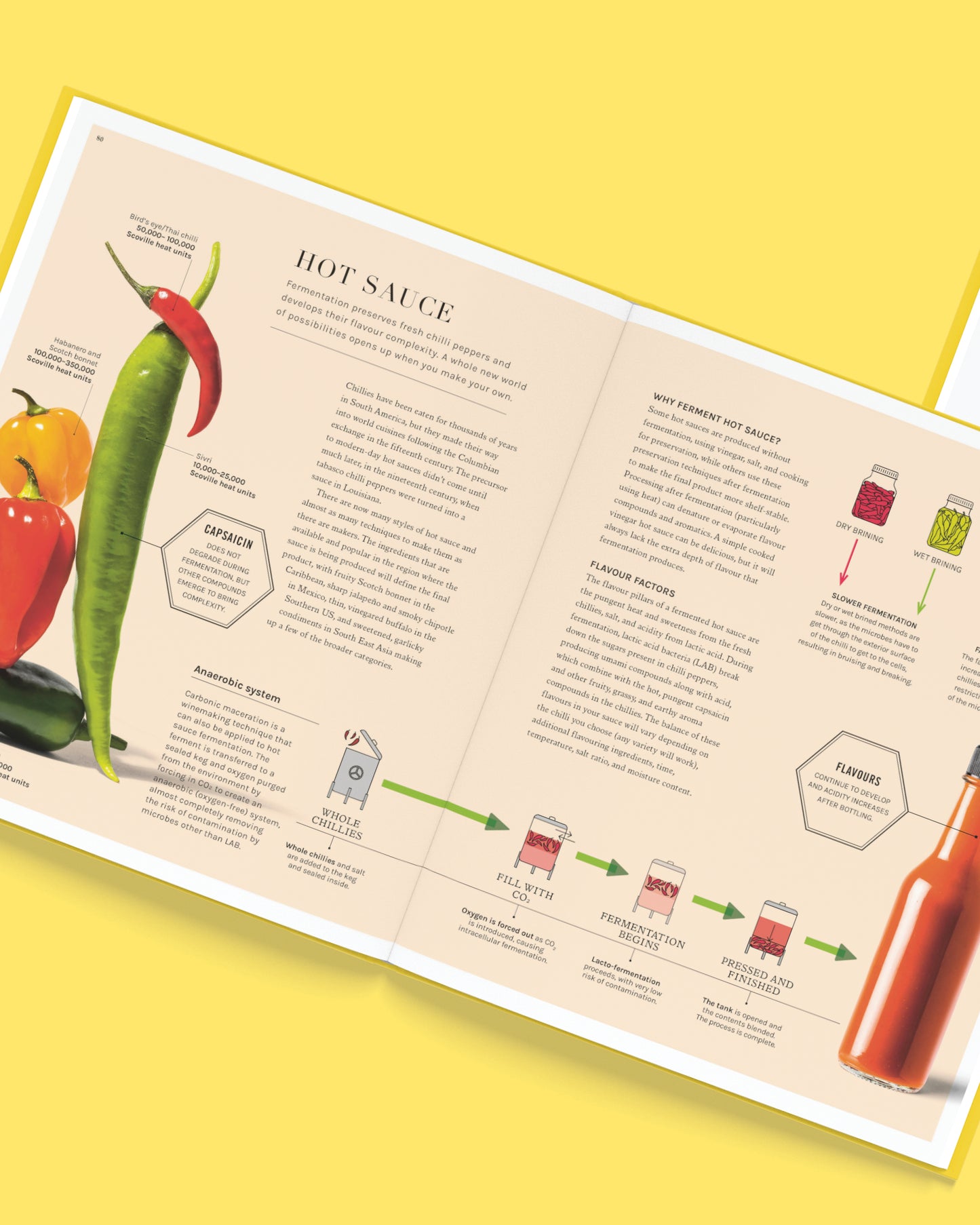 The Science of Fermentation