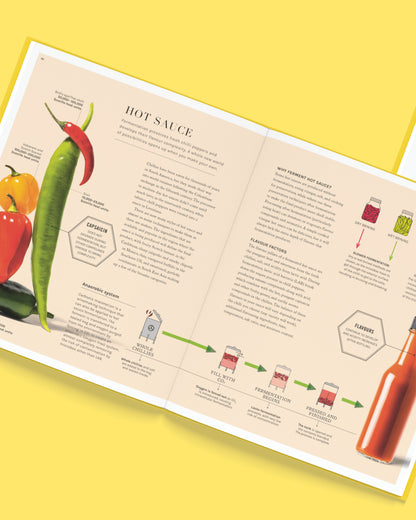 The Science of Fermentation