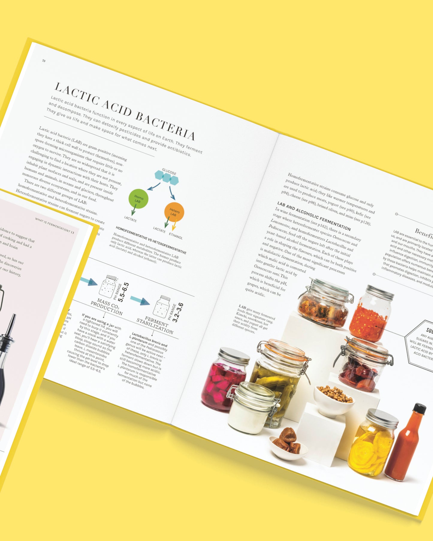 The Science of Fermentation