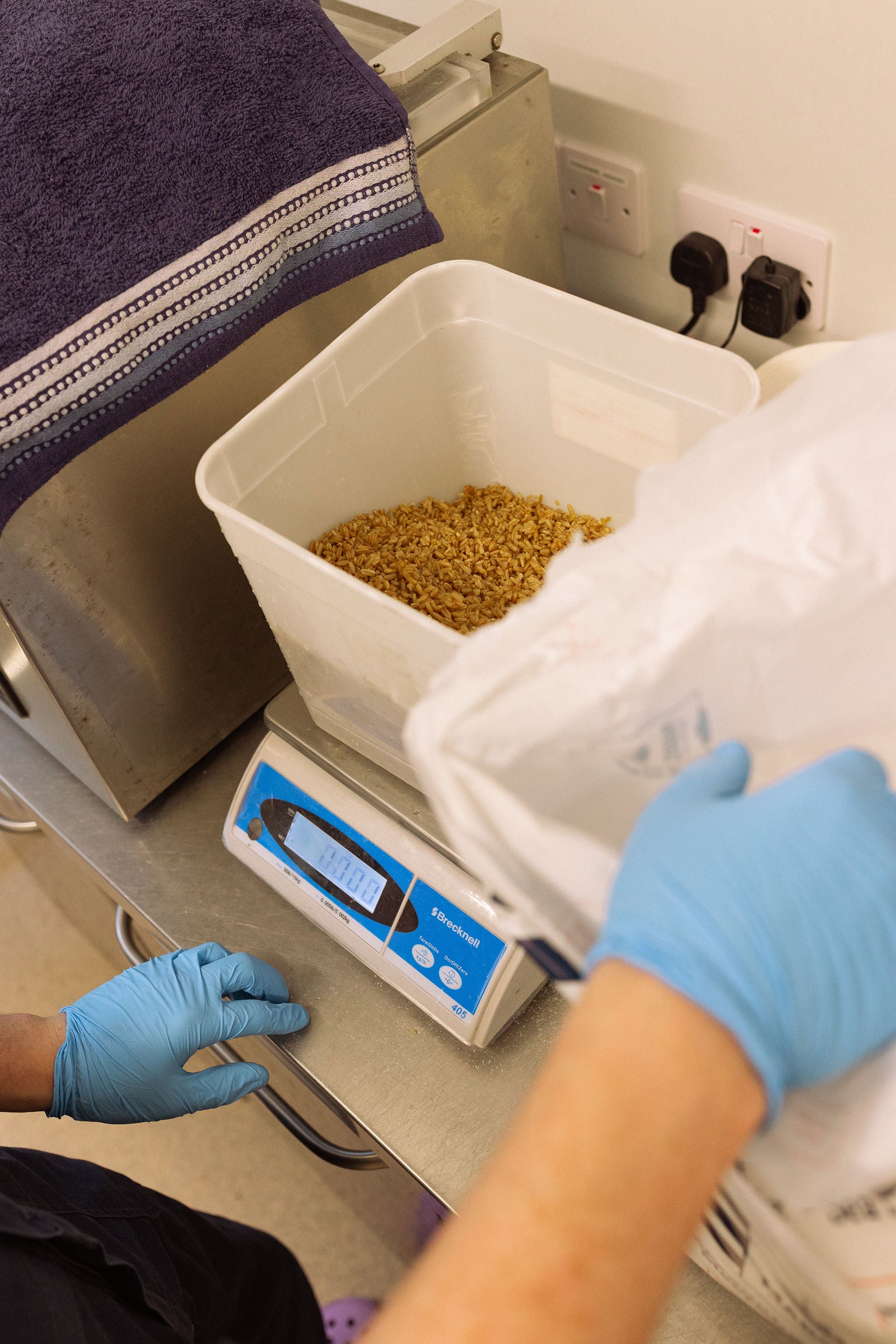 Slow Sauce brewers weighing out oats on a digital scale before fermentation.