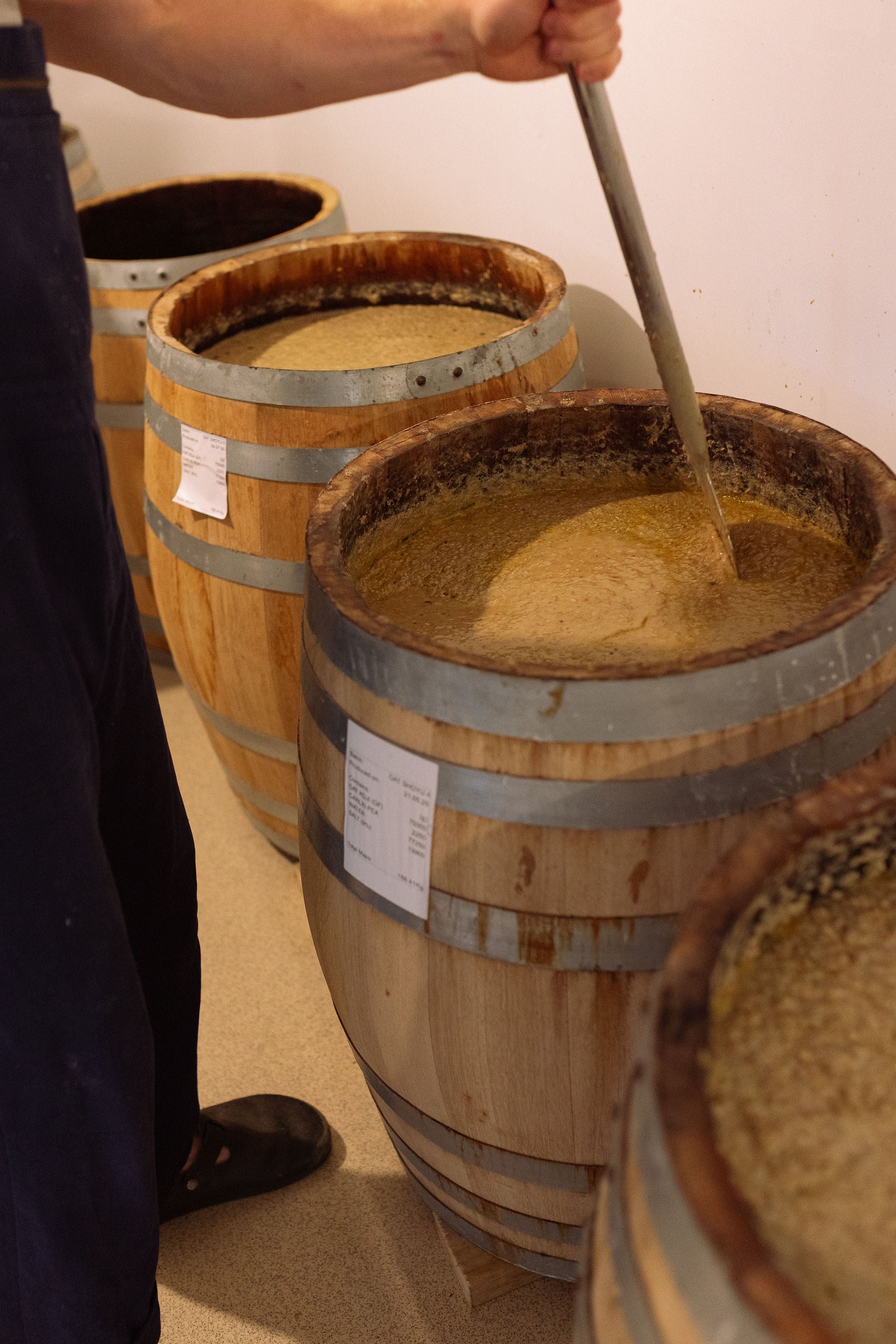 A barrel of miso mash fermenting at the Slow Sauce brewery, being stirred by hand.
